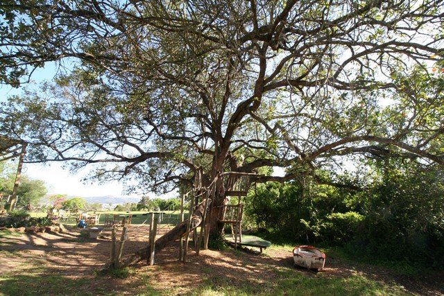 0 Bedroom Property for Sale in Knysna Central Western Cape